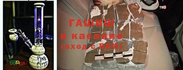 гидра Абаза