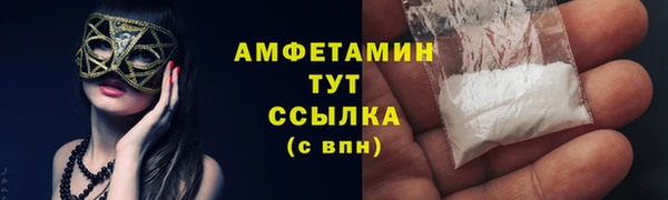 гидра Абаза
