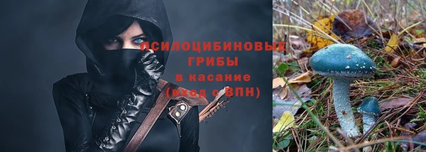 гидра Абаза