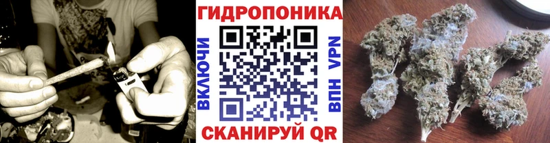 МЕГА ссылки  Ковдор  Марихуана SATIVA & INDICA 